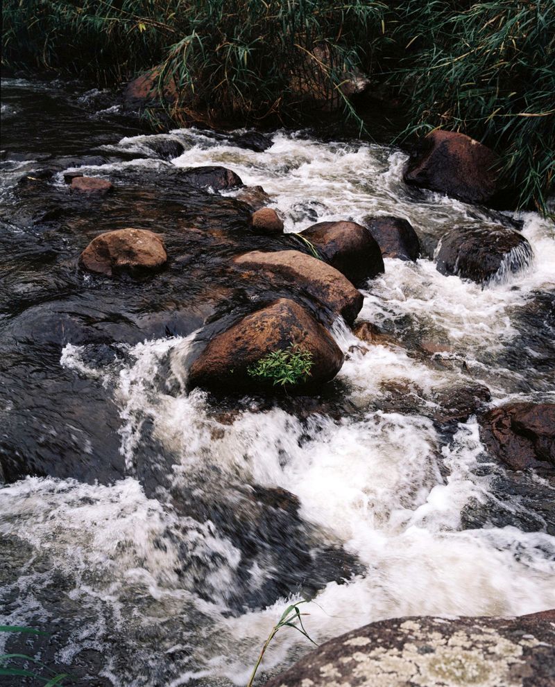 © Charlotte Yonga - River Along RN2, Moramanga