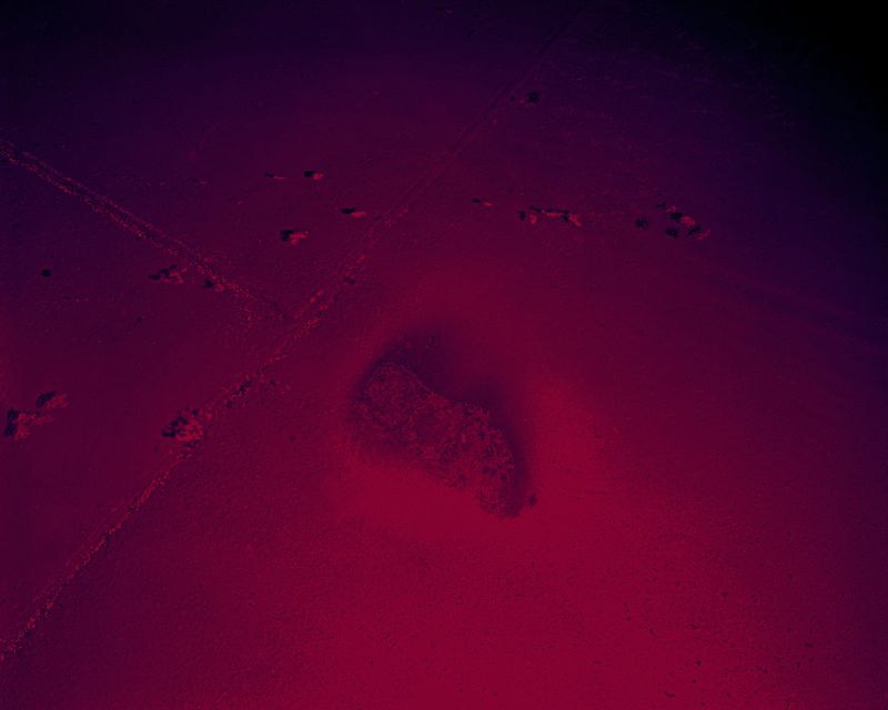 © Gerardo Montiel Klint - ISLA