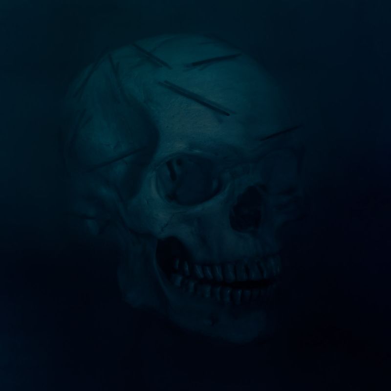 © Gerardo Montiel Klint - DESHIELO I