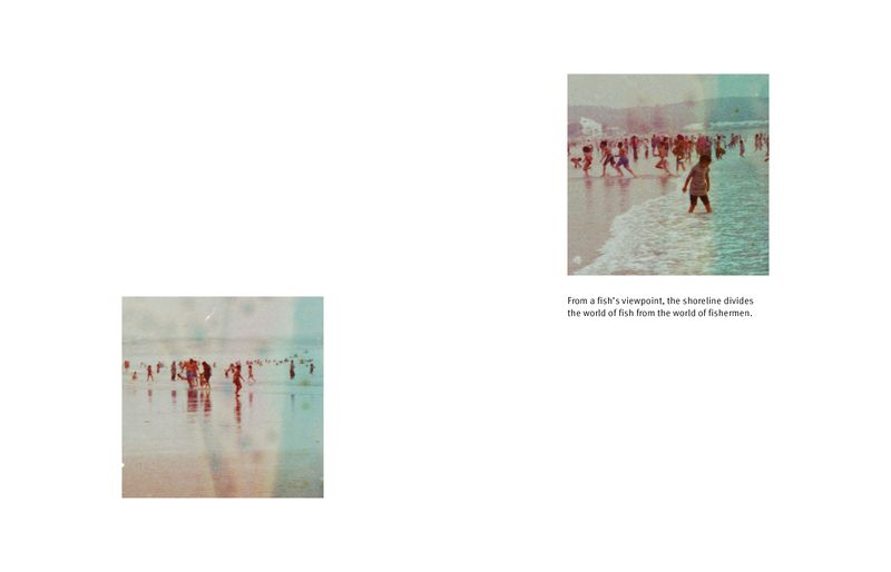 © Matteo Guerra, Edoardo Rubatto - From a fish’s viewpoint, the shoreline divides the world of fish from the world of fishermen.