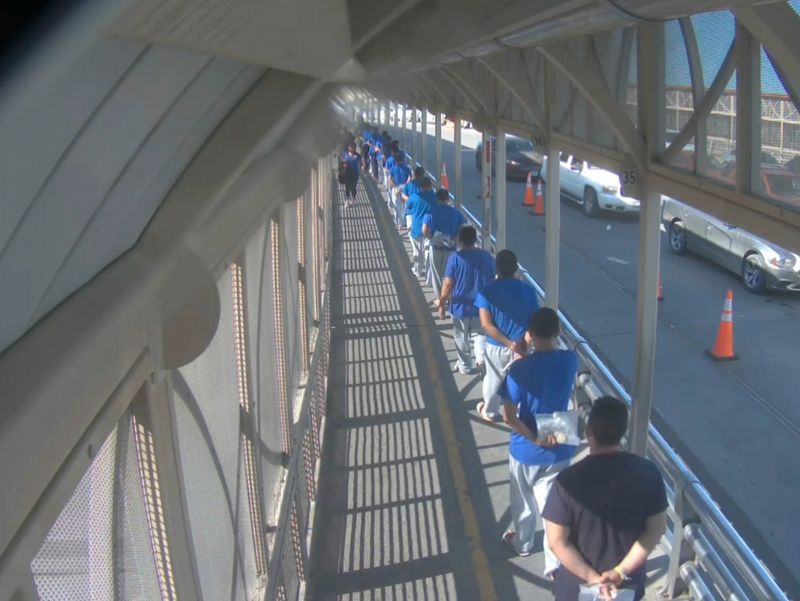 © Alejandro "Luperca" Morales - Screen_Recording_20210729-101600_Chrome_exported_219, 2022