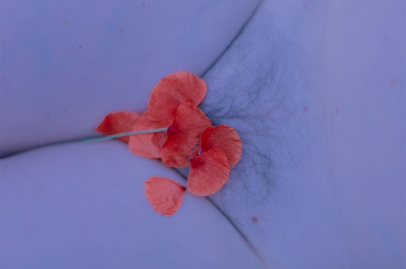 © Johanna Berghorn - Circle of life