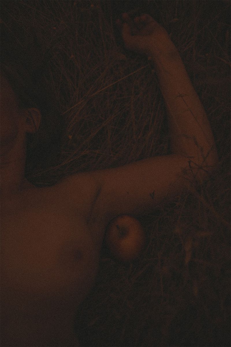 © Johanna Berghorn - Woman's first sin in Garden Eden / The first act of freedom I