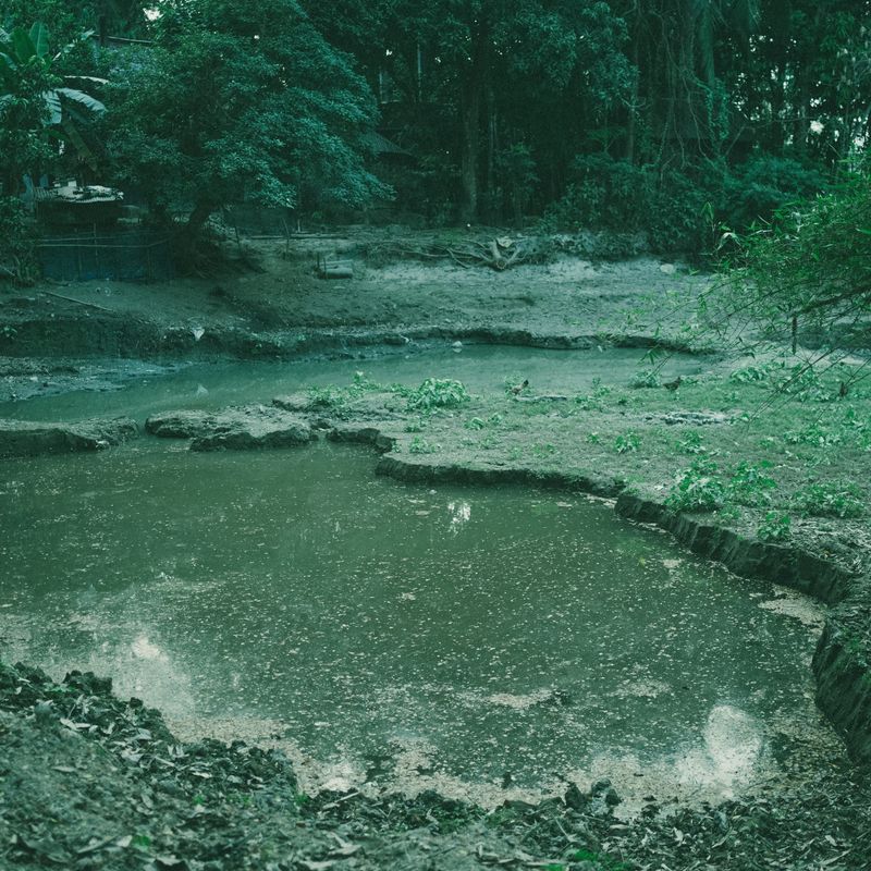 © tanjila Munia - Image from the Oporanho - Afternoon photography project