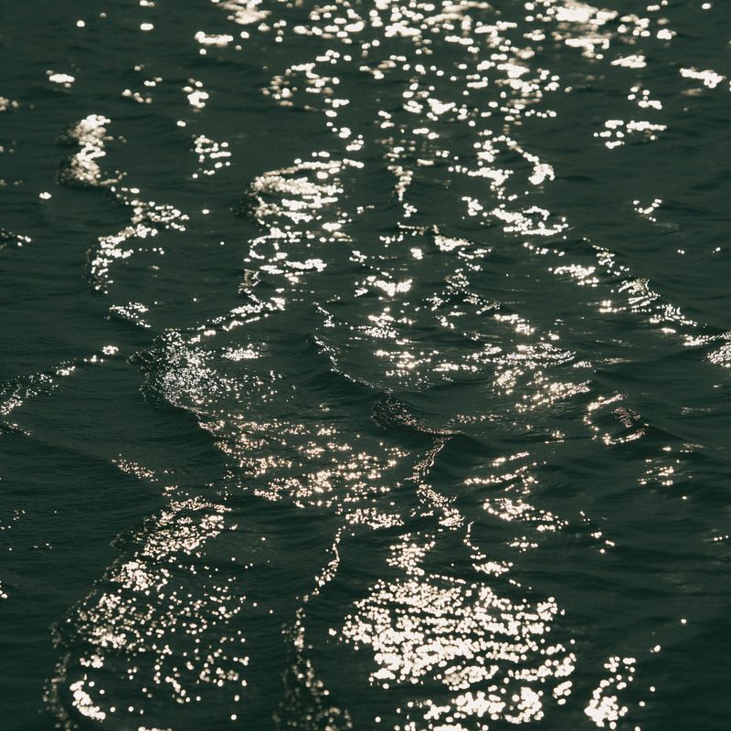 © tanjila Munia - Image from the Oporanho - Afternoon photography project