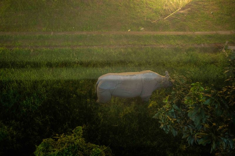 © tanjila Munia - Image from the ''Oporanho'' - in Bengali, means Afternoon photography project