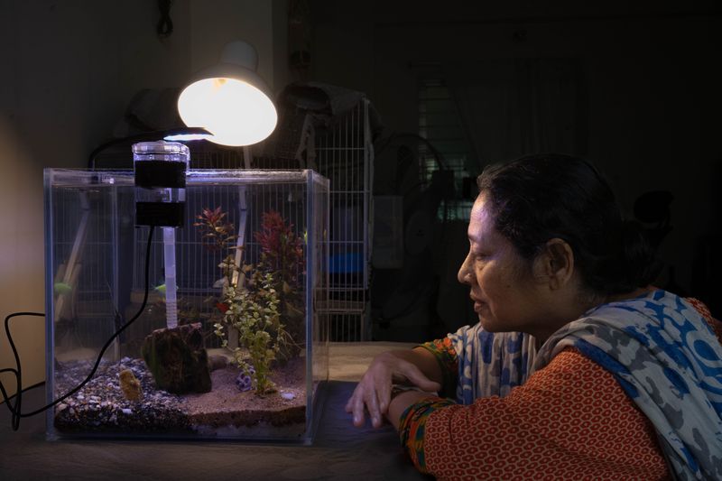 © tanjila Munia - Image from the ''Oporanho'' - in Bengali, means Afternoon photography project