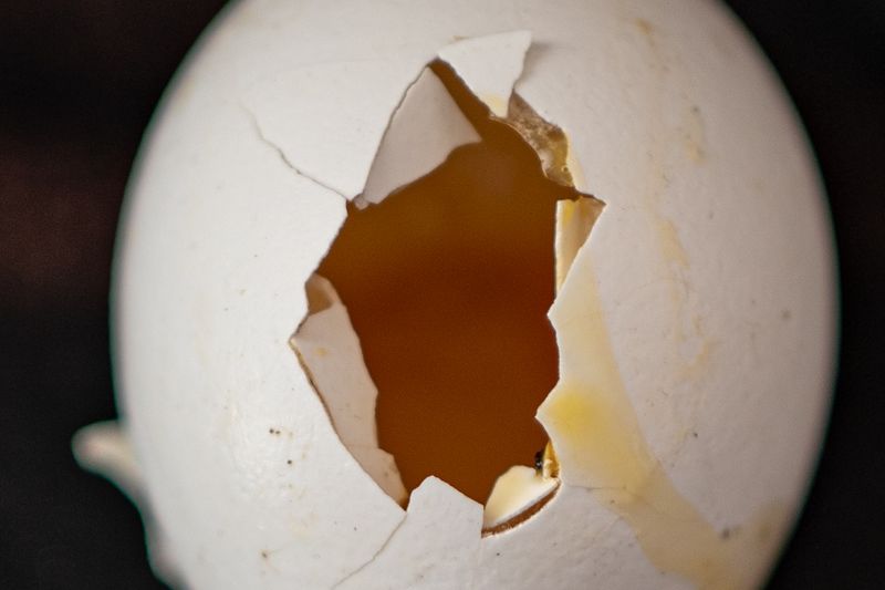 © tanjila Munia - Image from the ''Oporanho'' - in Bengali, means Afternoon photography project