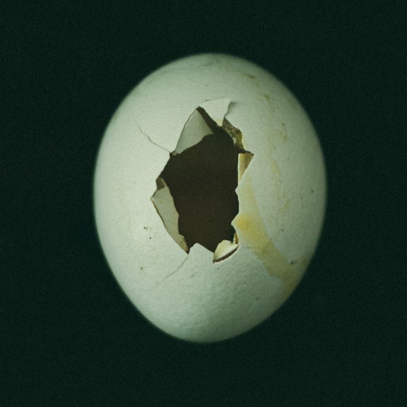 © tanjila Munia - Image from the Oporanho - Afternoon photography project