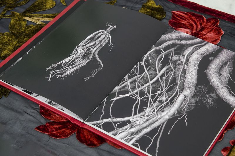 Image from a project on PhMuseum