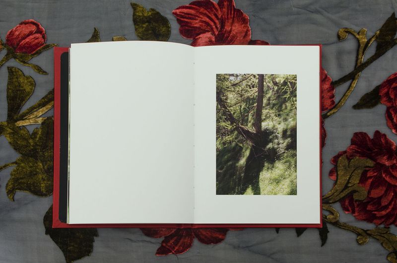 Image from a project on PhMuseum