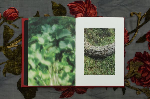 Image from a project on PhMuseum