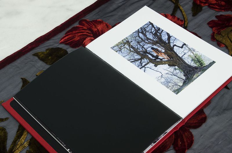 Image from a project on PhMuseum