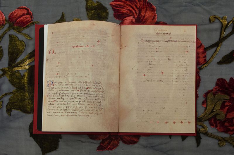 Image from a project on PhMuseum