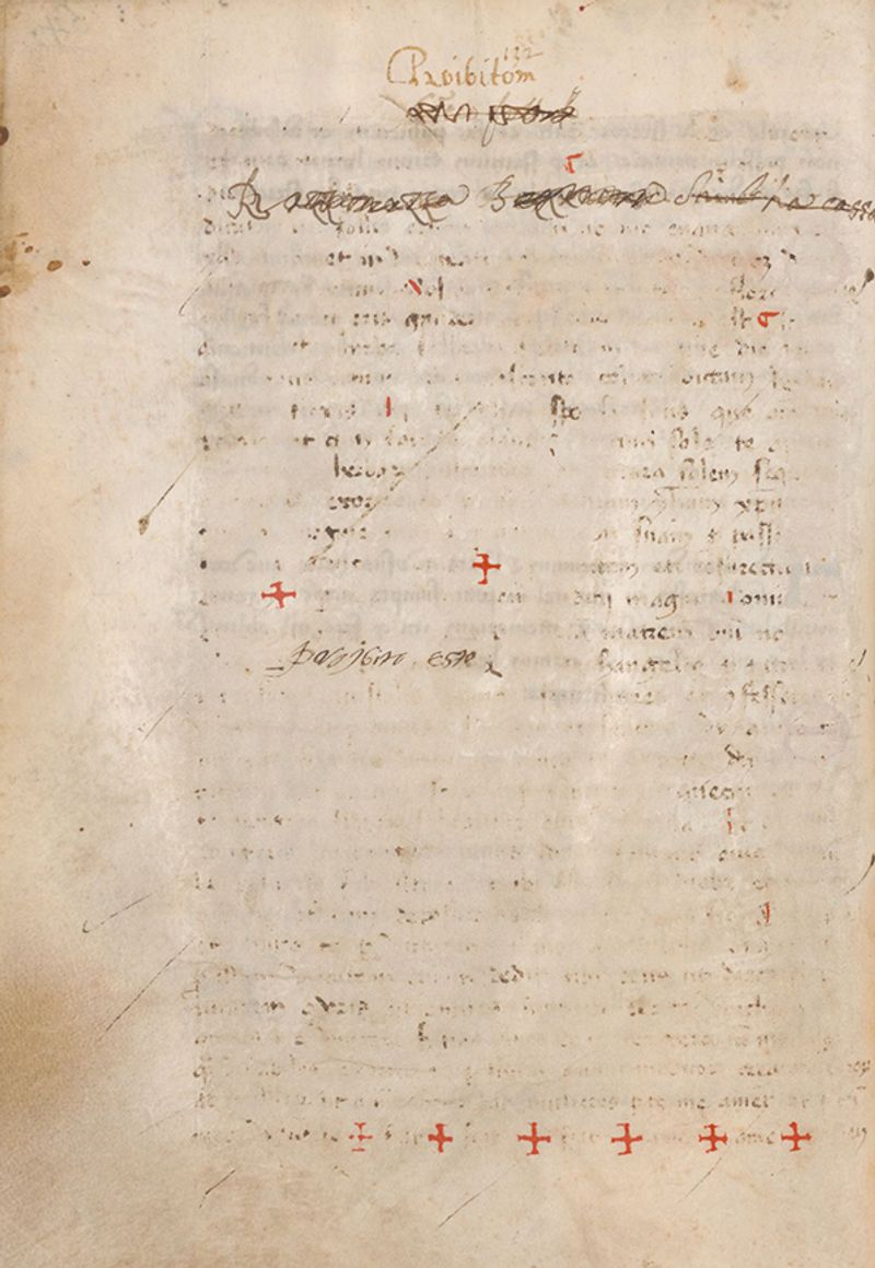 © Alice Dicembrino - Censored page from the manuscript