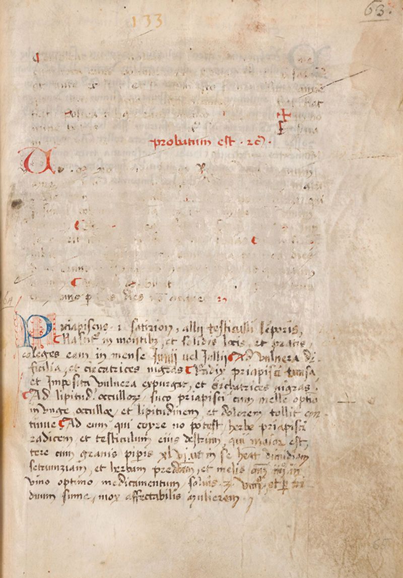 © Alice Dicembrino - Another censored page