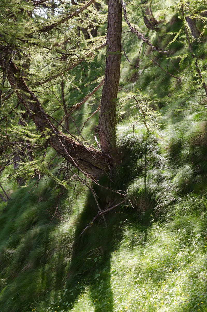 © Alice Dicembrino - Image from the Midriasi photography project