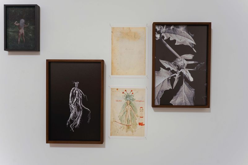 © Alice Dicembrino - Image from the Midriasi photography project