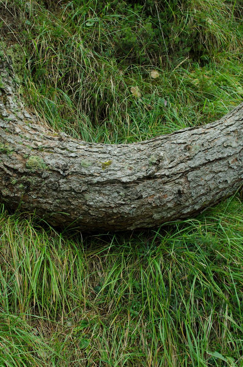 © Alice Dicembrino - Image from the Midriasi photography project