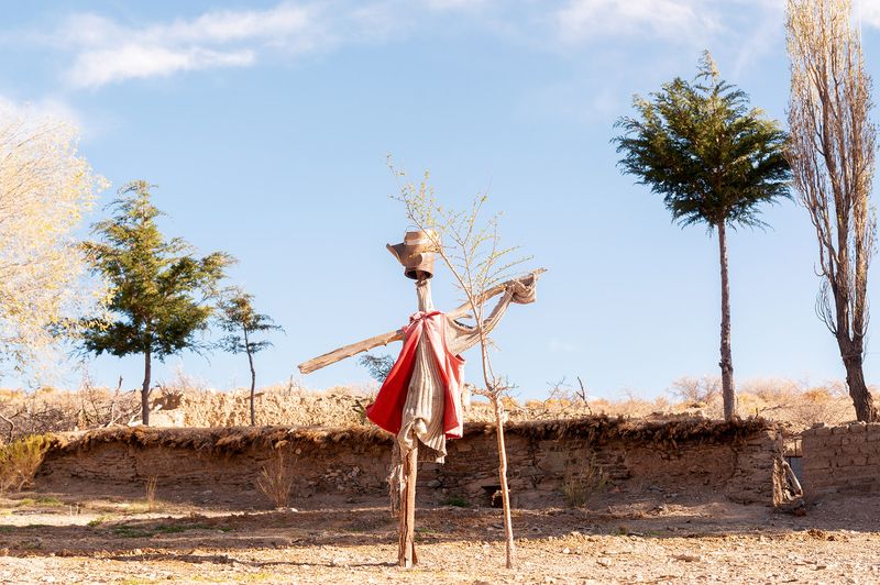 © Marco Vernaschi - Marco Vernaschi · Ahícito Nomás · The Scarecrow