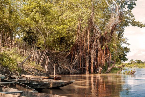 © Marco Vernaschi - Macondo, 34 °C • Magdalena River, 2023