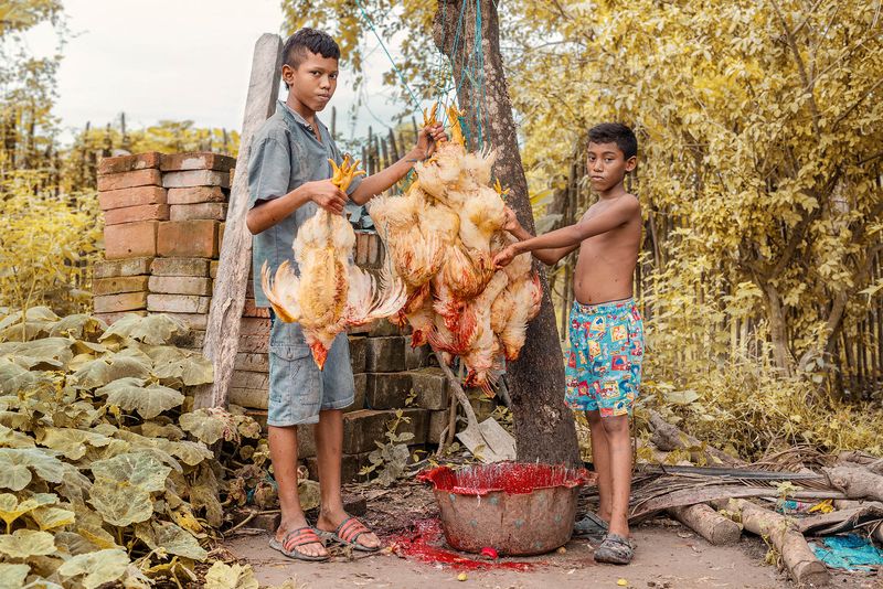 © Marco Vernaschi - Slaughter Day, 32 °C • El Palomar, 2023