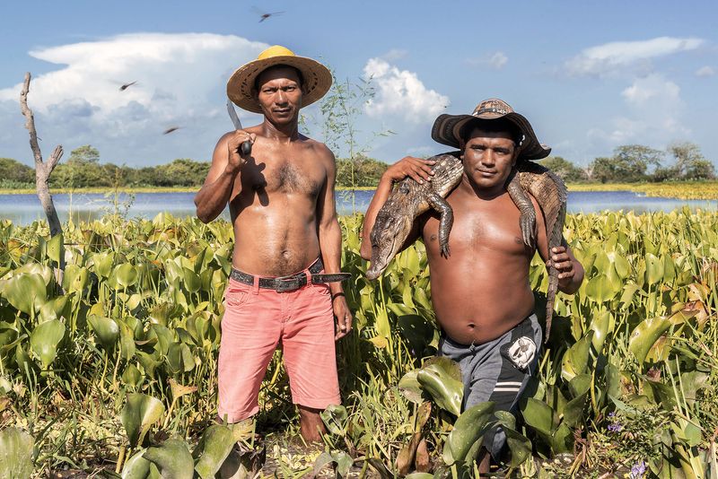 © Marco Vernaschi - The hunt, 36 °C • Ciénaga Juan Criollo, 2023