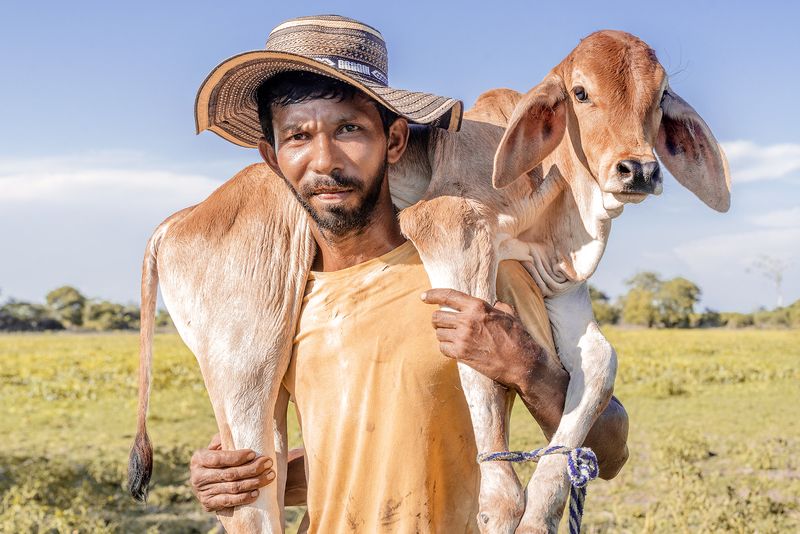 © Marco Vernaschi - The Shepherd, 36 °C • Puerto Arturo, 2023
