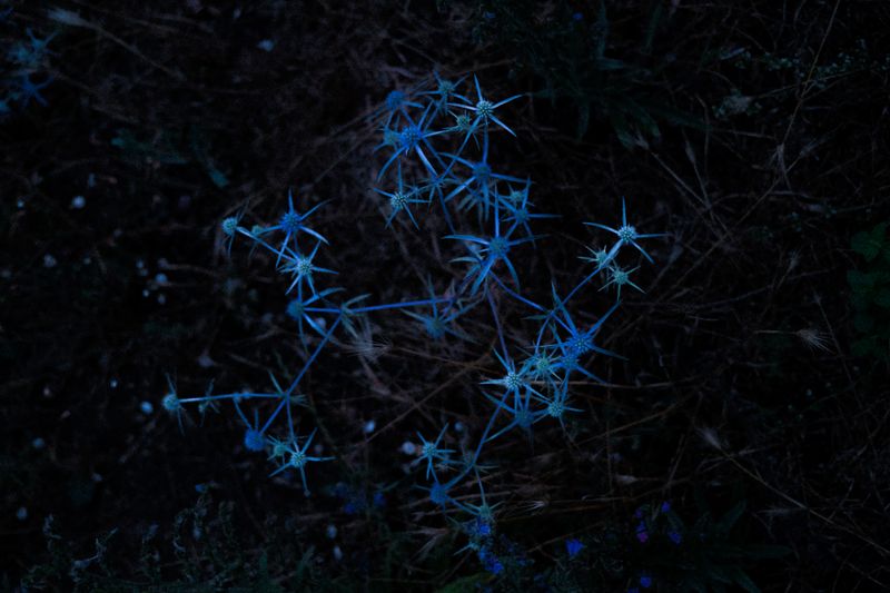 © Chen Chuanduan - Chen Chuanduan, the Pleiades, from the series Everett’s Notes, 2024