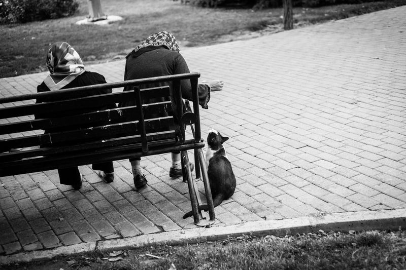 © Foad Ashtari - Image from the Beautiful Mind photography project