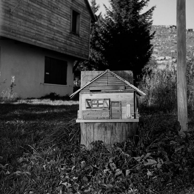 © BECHET BENJAMIN - Image from the Beasts, woods and places photography project