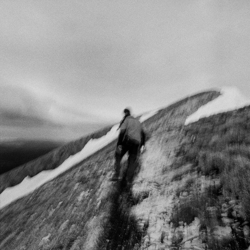 © BECHET BENJAMIN - Image from the Beasts, woods and places photography project