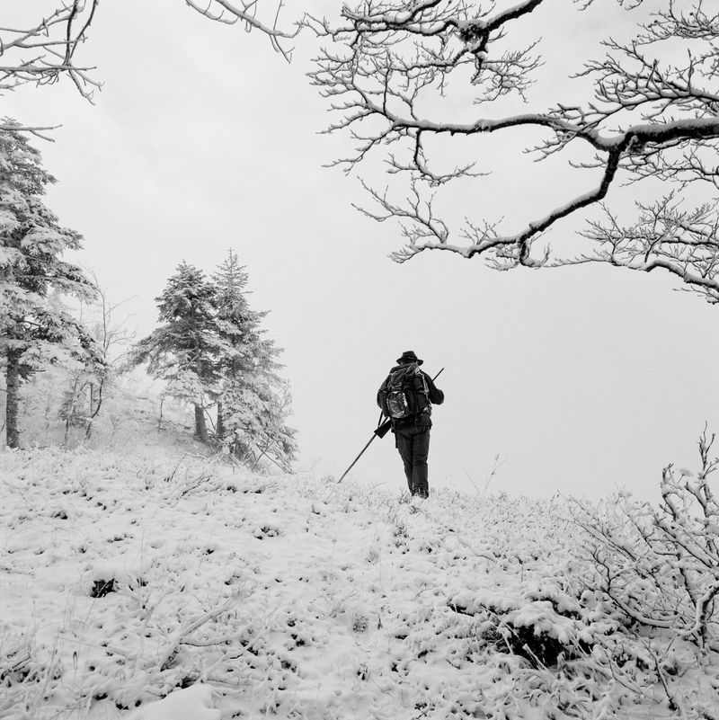 © BECHET BENJAMIN - Image from the Beasts, woods and places photography project