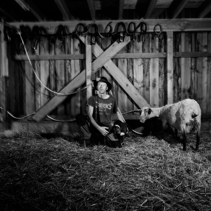 © BECHET BENJAMIN - Image from the Beasts, woods and places photography project