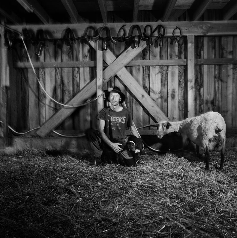 © BECHET BENJAMIN - Image from the Beasts, woods and places photography project