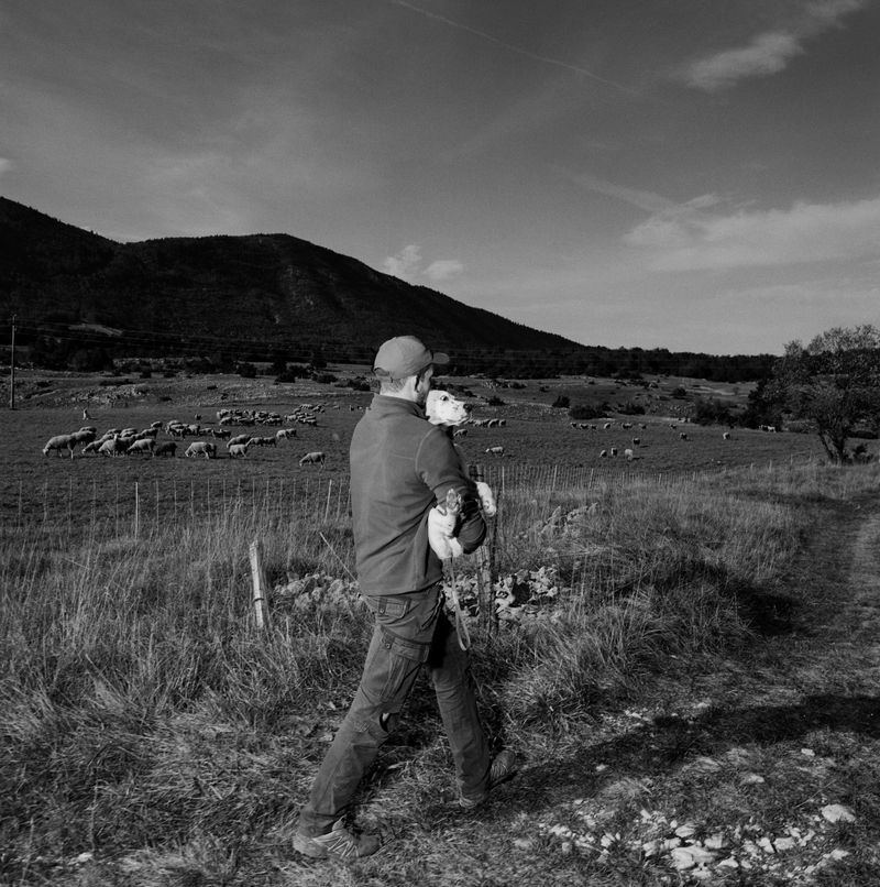 © BECHET BENJAMIN - Image from the Beasts, woods and places photography project