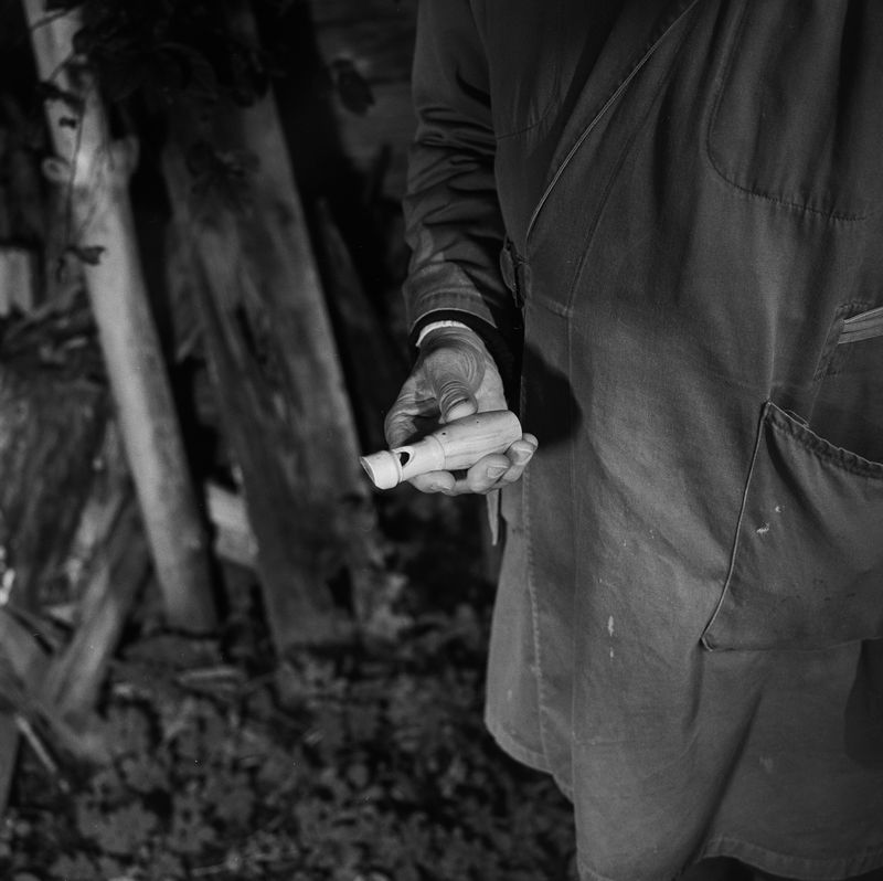 © BECHET BENJAMIN - Image from the Beasts, woods and places photography project