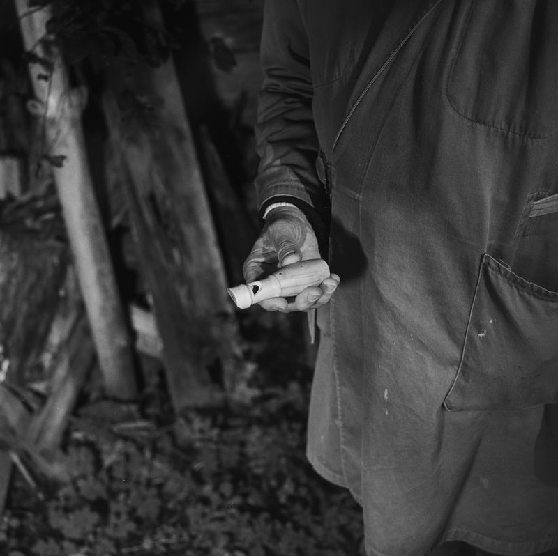 © BECHET BENJAMIN - Image from the Beasts, woods and places photography project