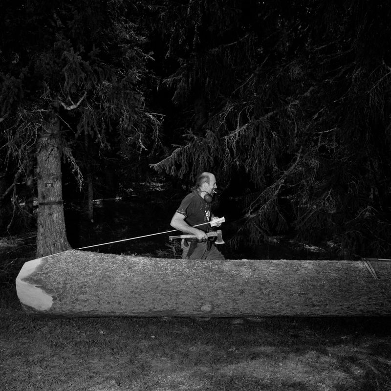 © BECHET BENJAMIN - Image from the Beasts, woods and places photography project