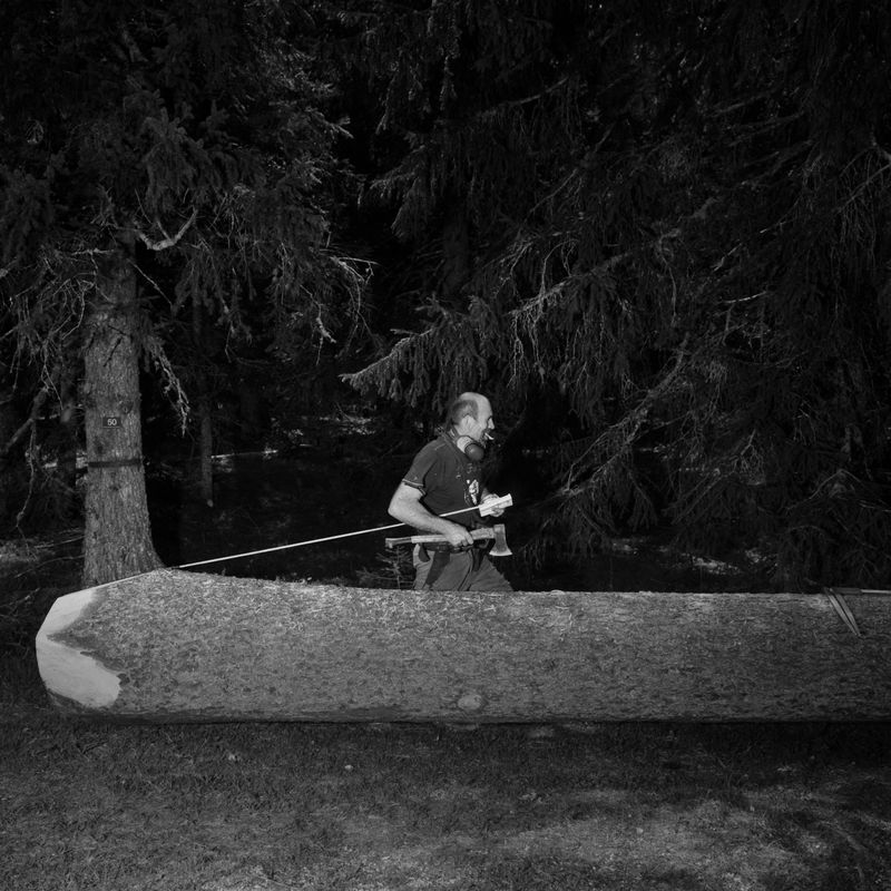 © BECHET BENJAMIN - Image from the Beasts, woods and places photography project