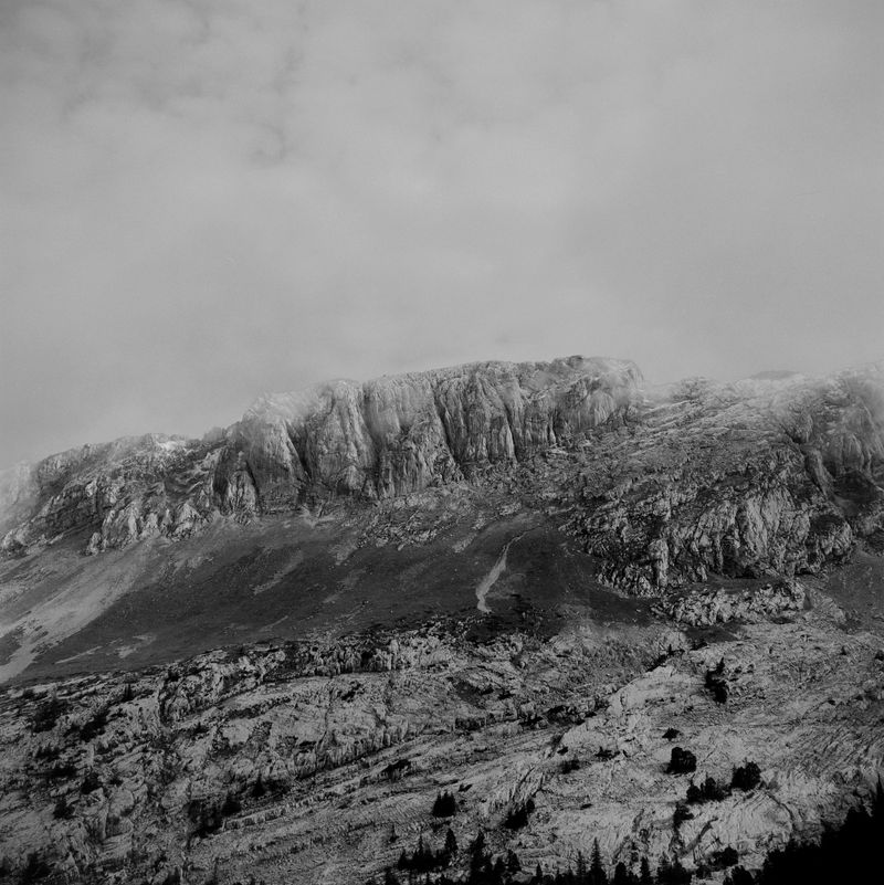 © BECHET BENJAMIN - Image from the Beasts, woods and places photography project