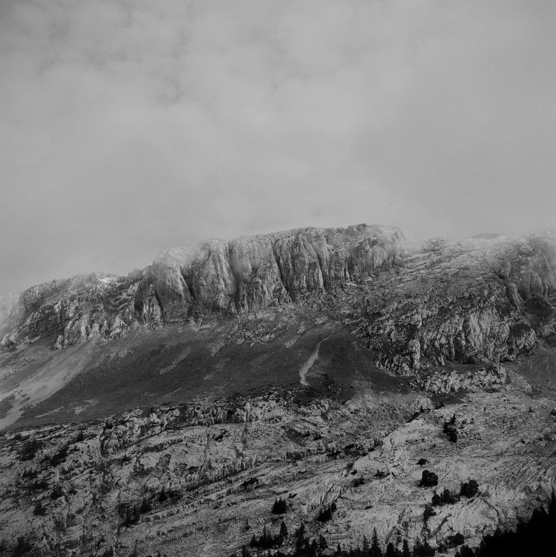 © BECHET BENJAMIN - Image from the Beasts, woods and places photography project