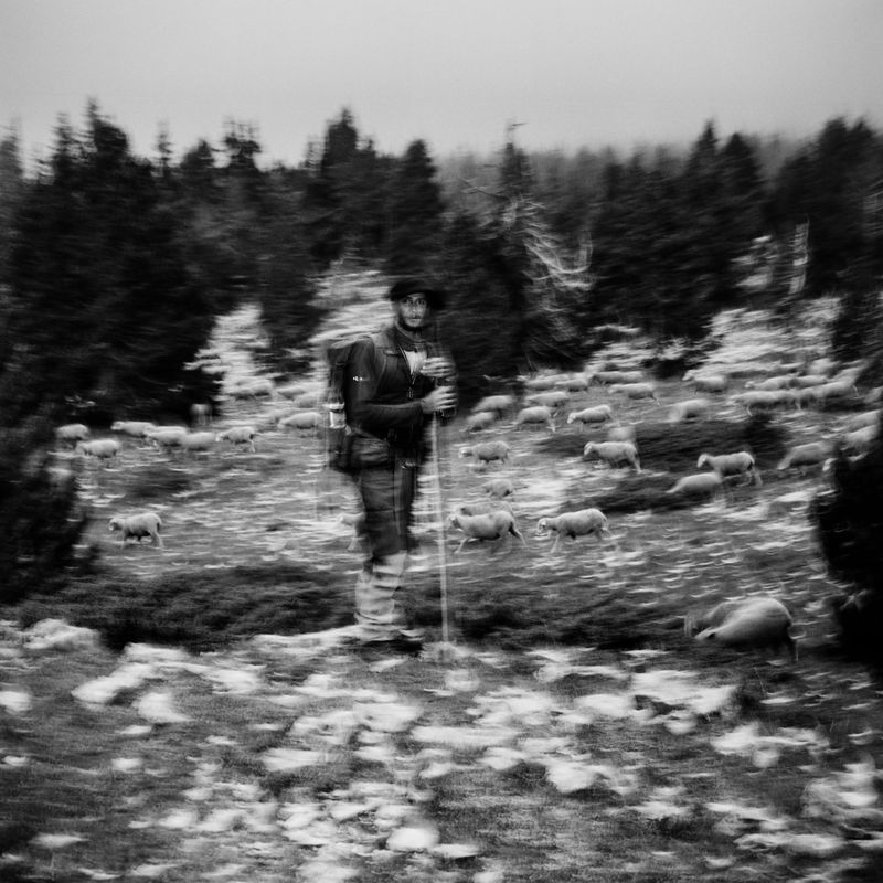 © BECHET BENJAMIN - Image from the Beasts, woods and places photography project