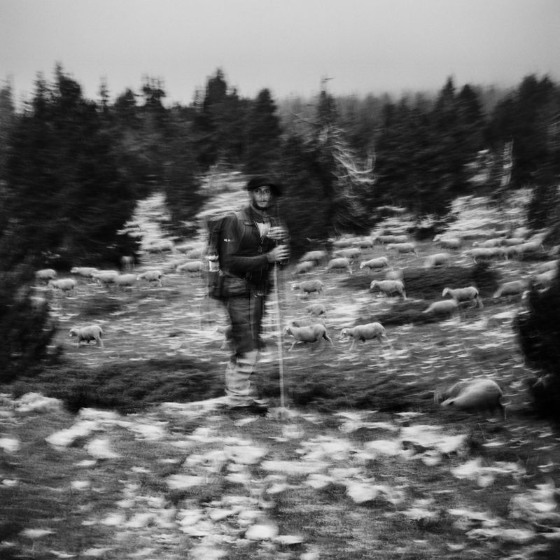 © BECHET BENJAMIN - Image from the Beasts, woods and places photography project