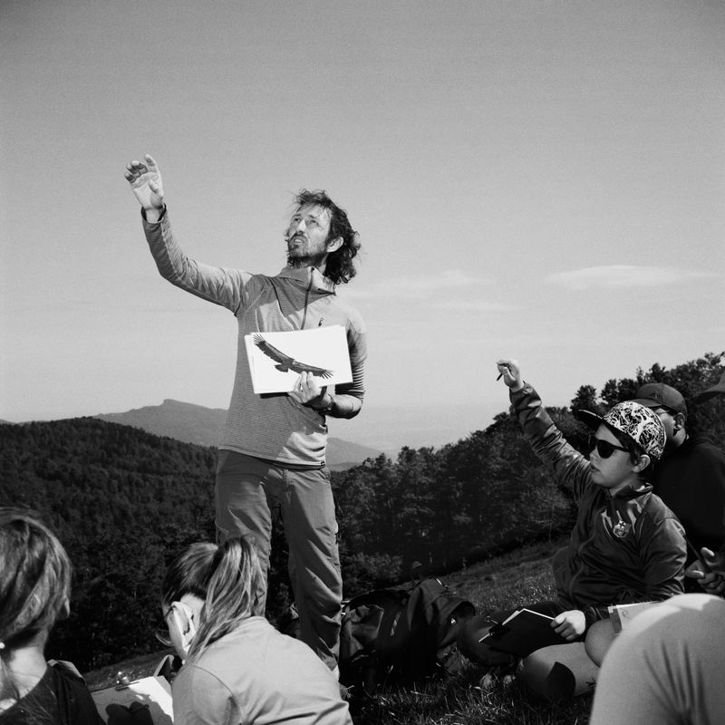 © BECHET BENJAMIN - Image from the Beasts, woods and places photography project