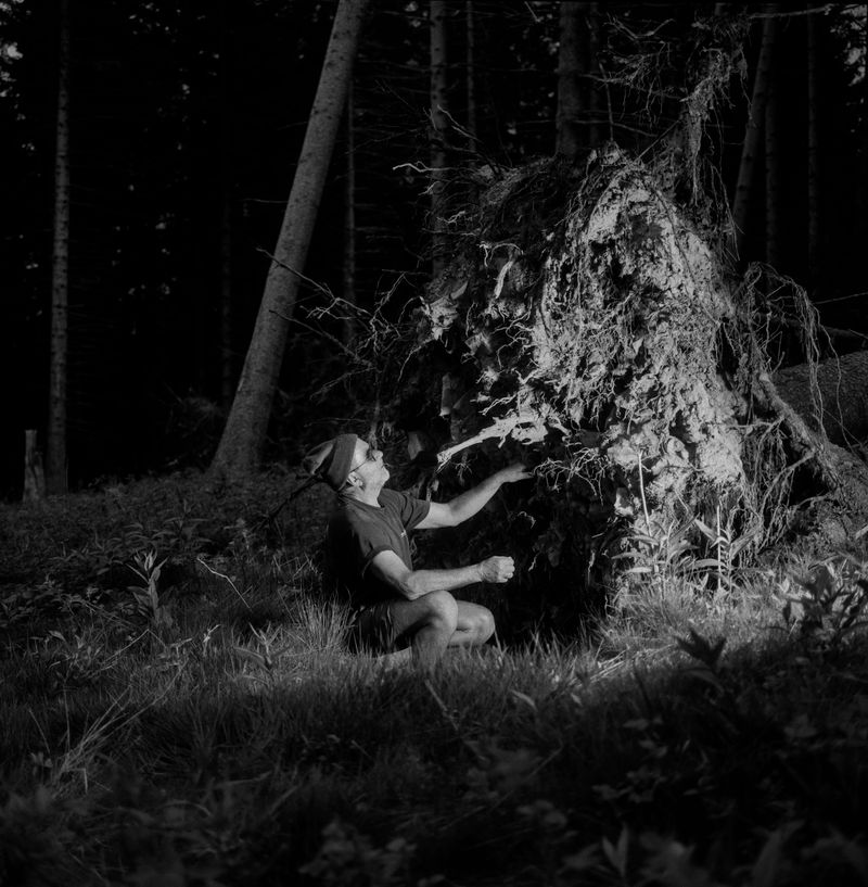 © BECHET BENJAMIN - Image from the Beasts, woods and places photography project