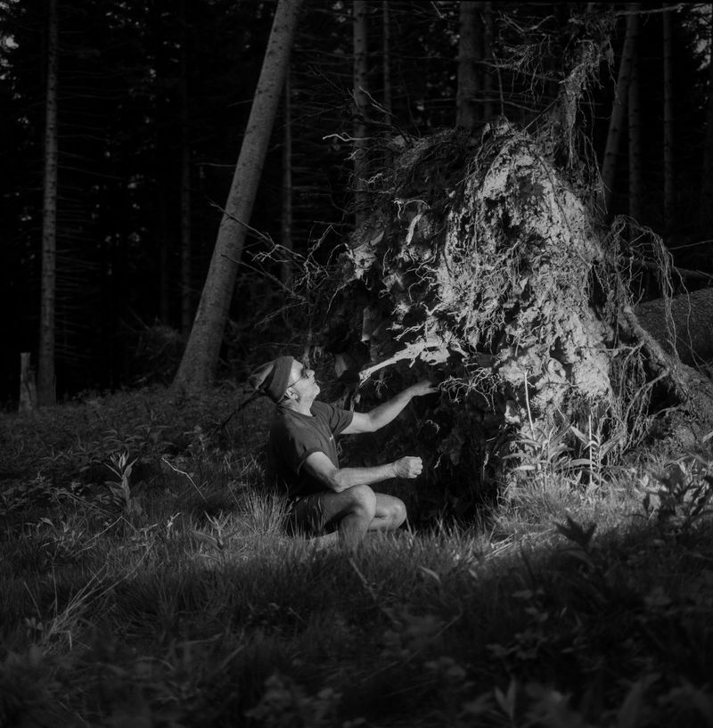 © BECHET BENJAMIN - Image from the Beasts, woods and places photography project