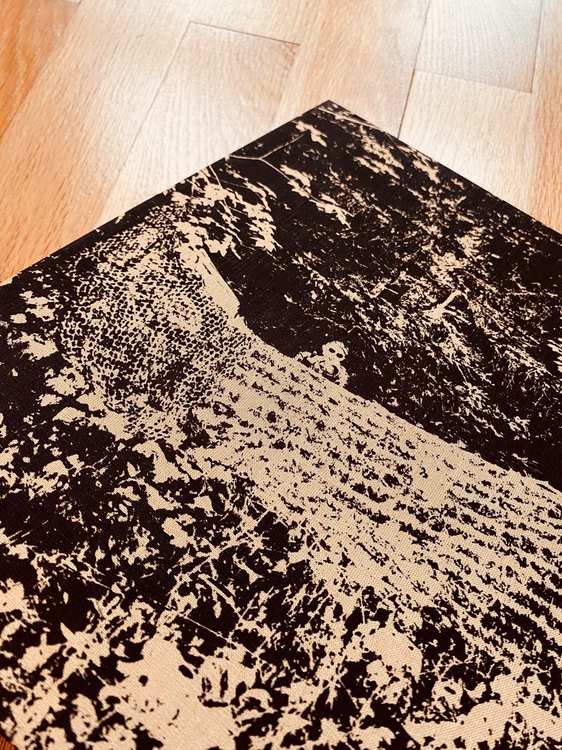 © BECHET BENJAMIN - Image from the The Clan photography project