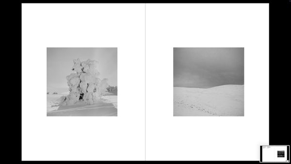 © BECHET BENJAMIN - Image from the The Clan photography project