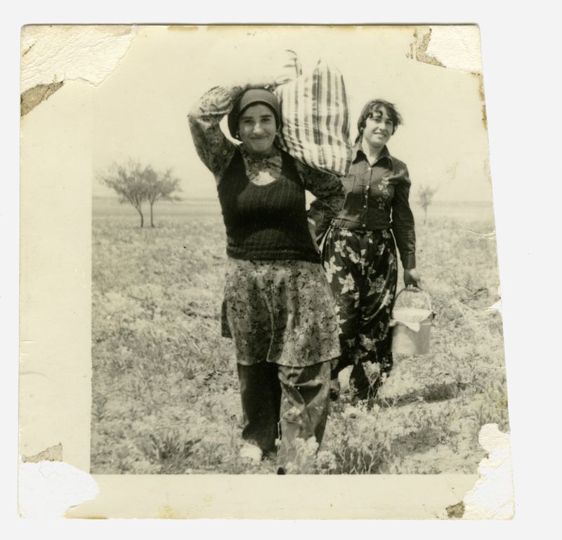 © Jo Phipps - Image from the the gathering photography project